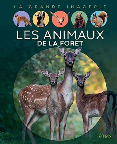 Les Animaux de la forêt