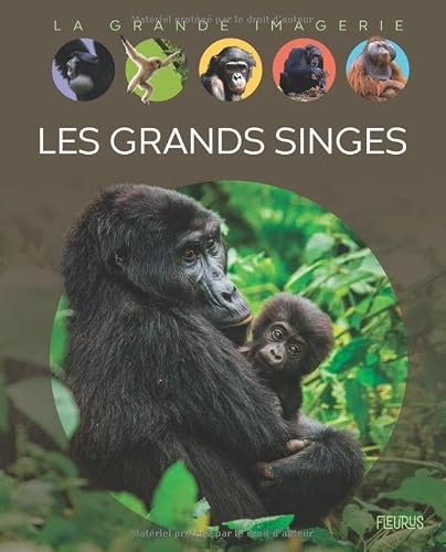 Les Grands singes