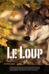 Le_loup